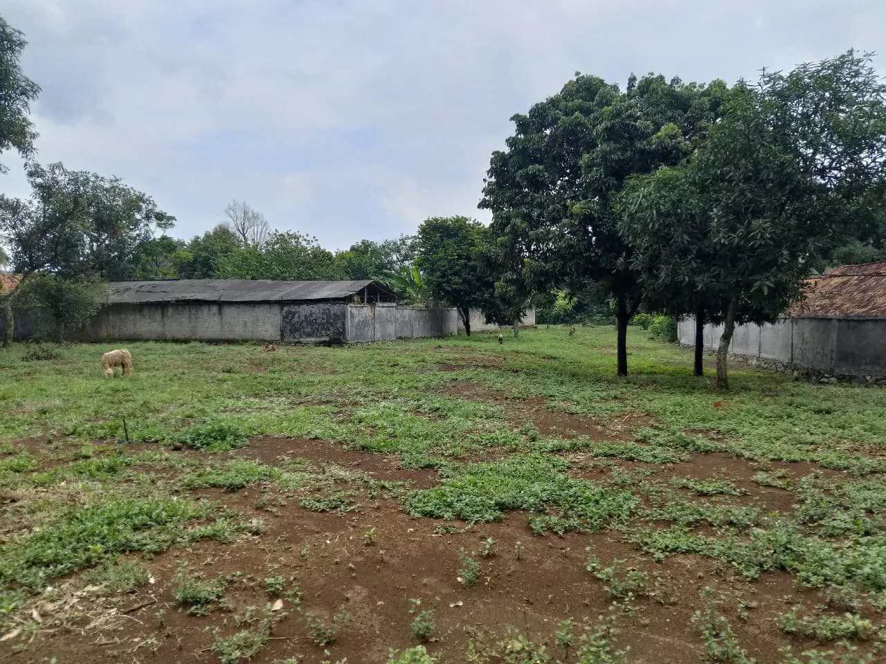 Tanah di Legok