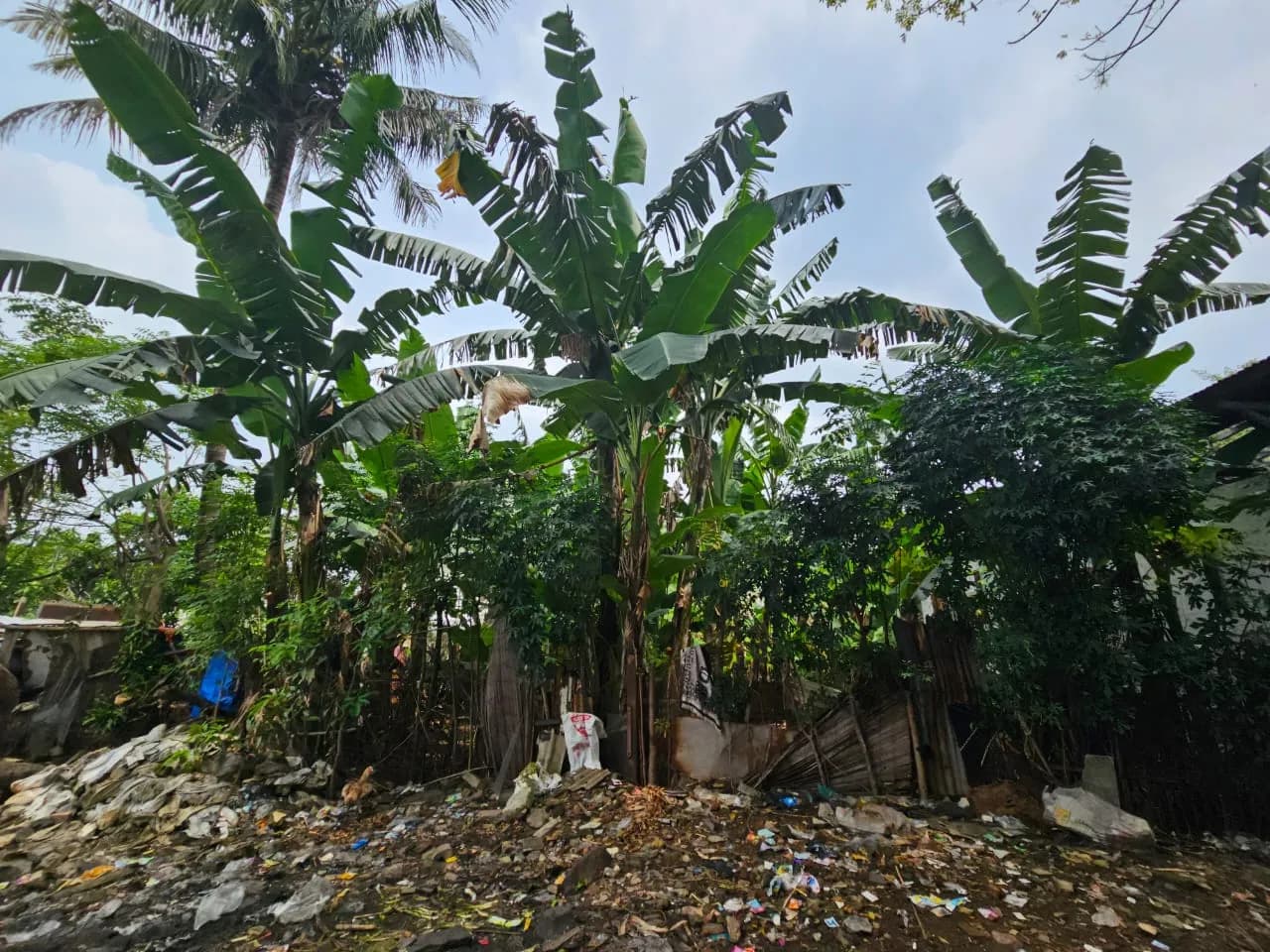 Tanah cimanggis 