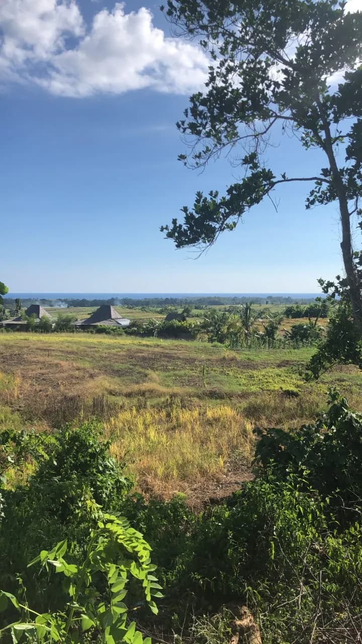 Tanah Tabanan desa Tanguntiti Bali