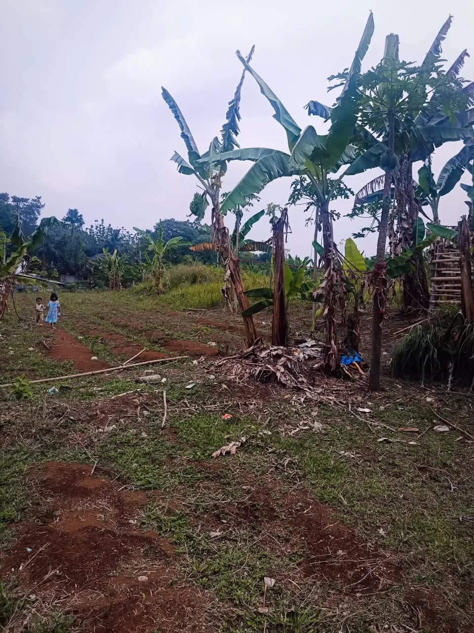 Tanah Megamendung Bogor