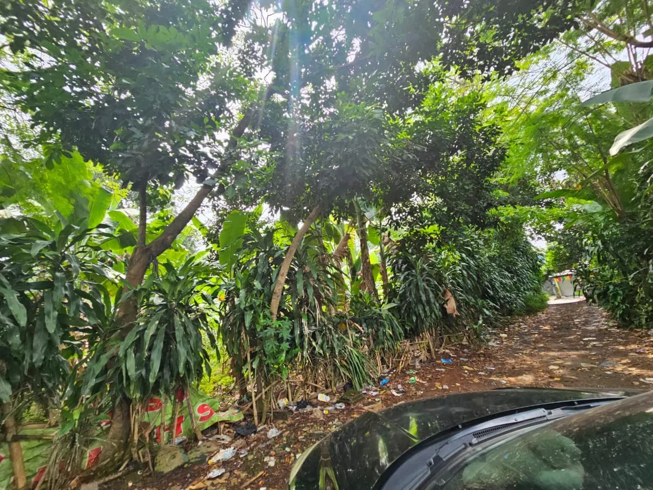 Tanah cimanggis  - 3