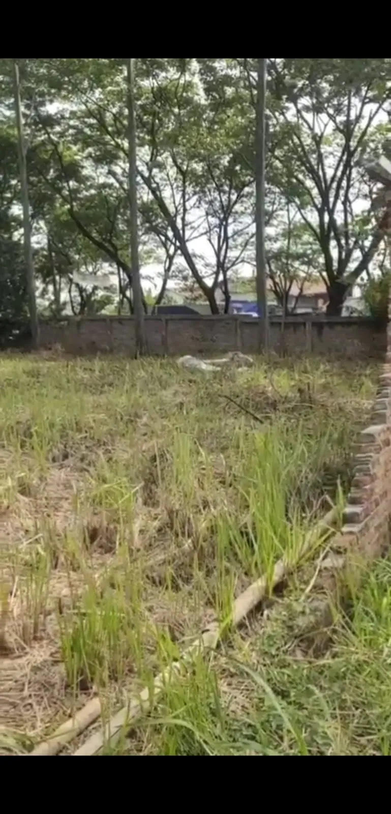 Tanah di Kp Rawa Bokor - 2