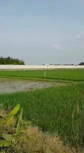Tanah Karawang Barat - 3