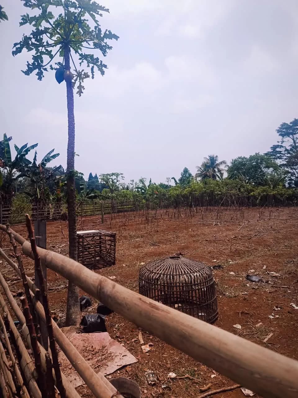 Tanah Megamendung Bogor - 2