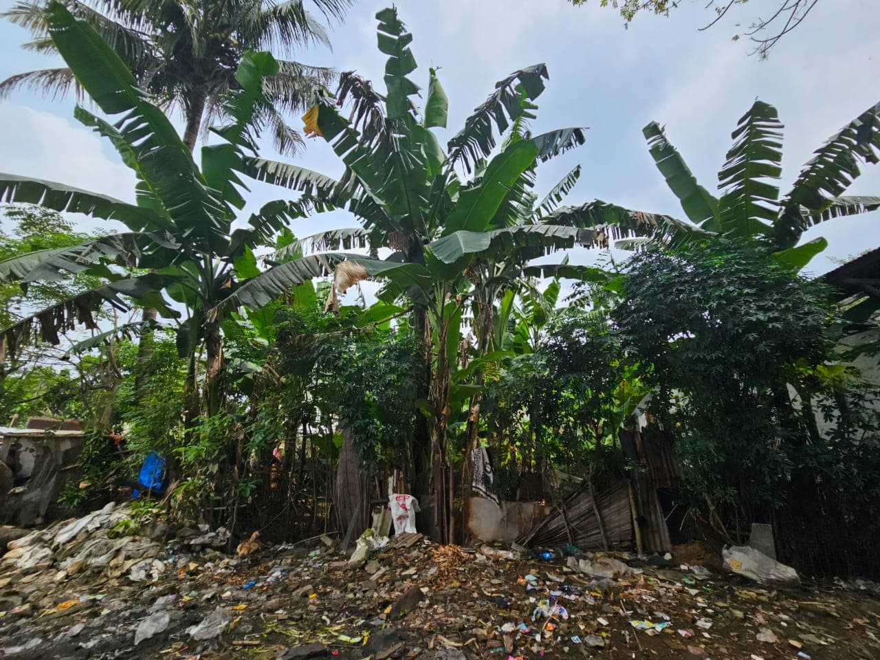Tanah cimanggis